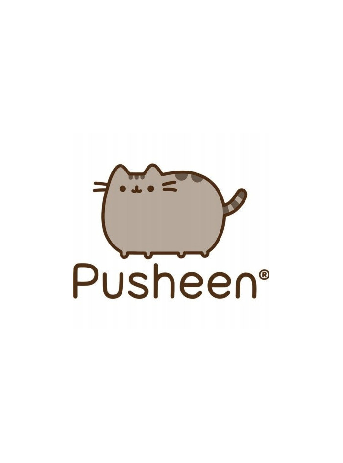 RĘCZNIK PUSHEEN 70x140 KĄPIELOWY KOŁO Z KACZUSZKĄ