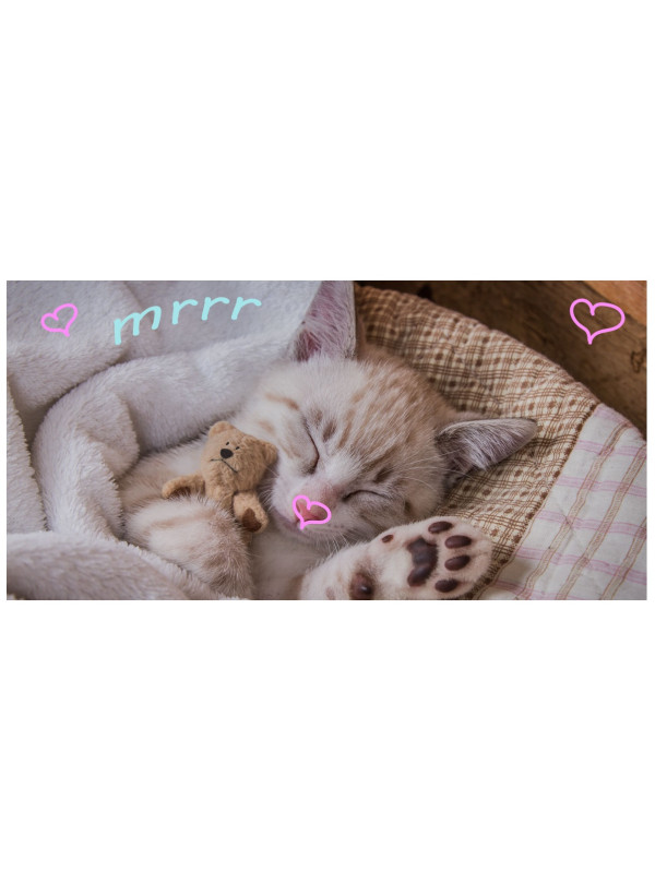 RĘCZNIK 70x140 KĄPIELOWY PLAŻOWY SŁODKI KOTEK KOT 1810