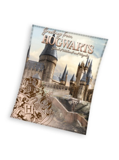KOC KOCYK KORALOWY 130x160 HARRY POTTER HOGWART