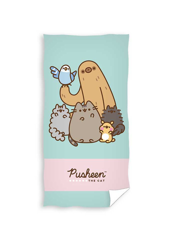 RĘCZNIK 70x140 KĄPIELOWY PUSHEEN I PRZYJACIELE