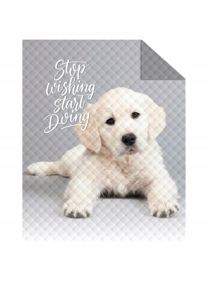NARZUTA NA ŁÓZKO 170x210 PIKOWANA PIES LABRADOR