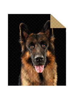 NARZUTA NA ŁÓZKO 170x210 PIKOWANA PIES OWCZAREK