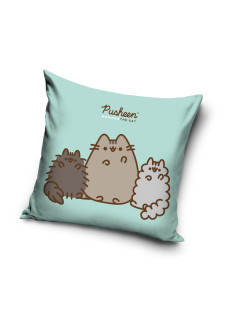 POSZEWKA 40x40 NA PODUSZKĘ JAŚKA PUSHEEN I PRZYJACIELE