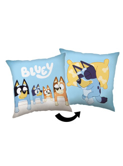 PODUSZKA 40x40 DWUSTRONNA BLUEY Z RODZINĄ BL-98